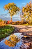 Autumn Reflection_29823